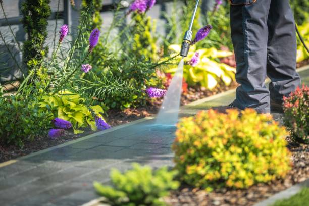 Best Sign and Awning Cleaning  in Lake Fenton, MI