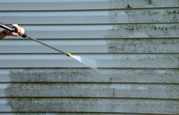 Best Residential Exterior Washing  in Lake Fenton, MI